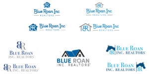 Blue Roan Realtors Logo Development | Vervocity