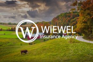 Wiewel Insurance | Vervocity