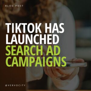 TikTok has launched Search Ad Campaigns